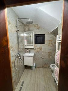 Vannituba majutusasutuses Villa Albani