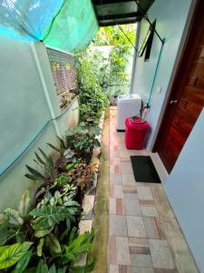 a garden on the outside of a house at Bleu Saphire Apartments in Los Baños