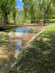 Příroda nedaleko chaty