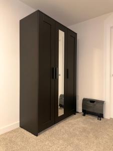 a black cabinet with a mirror in a room at Cozy and Spacious Suite - Private Ensuit Bath - King Bed - Ultra Fast Wifi - Free Parking - Smart TV in Rockland