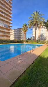 a swimming pool with palm trees in front of a building at Horizonte al Mar in Miramar