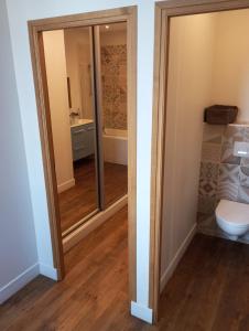 een badkamer met douche en toilet bij Maison de maître in Bernac-Debat