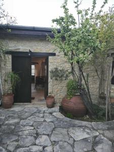 Κήπος έξω από το Οίκος Λόφου-oikos Lofou