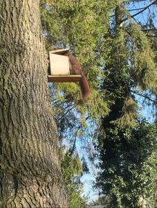 a tree with a box in a tree at De Eikenloft in Heerenveen
