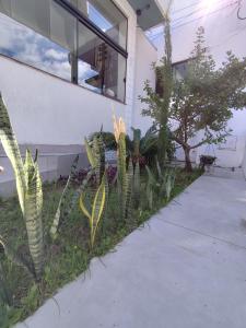 Zahrada ubytování Novo Hotel + 16 fotografií