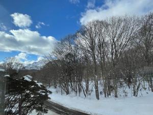 a road with trees and snow on the ground at Sanso On Snow in Nagano
