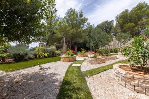 Vườn quanh Family friendly house with a swimming pool Cove Koramaslinova - Koromaslinova, Brac - 15479