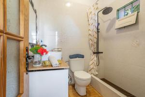 a small bathroom with a toilet and a shower at Finca Rural House El Pajal Relax in Santa Úrsula