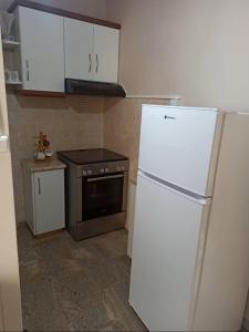 Una cocina con un refrigerador blanco y una estufa. en Dimitra's Little House, en Petalidi