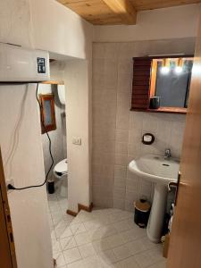 a bathroom with a sink and a toilet at La Casetta del Picchio in Caspoggio