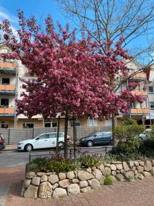 a tree with pink flowers in front of a building at Ferienwohnung Dommel in Cuxhaven