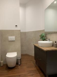 a bathroom with a toilet and a sink at Villa Alexandra 1897 Wohnung Vilma in Bad Wildungen