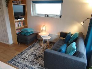 a living room with a couch and a tv at Holidayhouse Akkerrand Kamperland in Kamperland