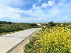 an empty road with yellow flowers on the side at Holidayhouse Akkerrand Kamperland in Kamperland