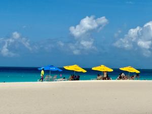 Příroda nedaleko vily