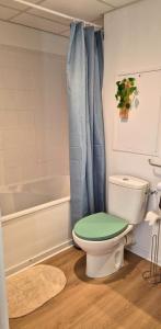 a bathroom with a toilet with a green lid at L'épure - Clim - Confort - Moderne in Lourdes +17 photos