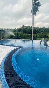 Πισίνα στο ή κοντά στο Marine Ray Resort Hikkaduwa