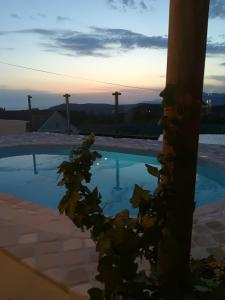 Bazén v ubytování Apartments with a swimming pool Radovcici, Dubrovnik - 15908 nebo v jeho okolí