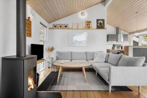 ein Wohnzimmer mit Sofa und Kamin in der Unterkunft JB403 Fjerritslev - Poppelvej 20 in Fjerritslev