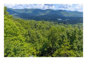 Come relax in the mountains of Otto NC في Otto: إطلالة علوية على غابة من الأشجار مع الجبال