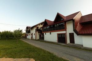 a row of houses with red roofs on a street at Pensiunea Carol Oglinzi in Oglinzi