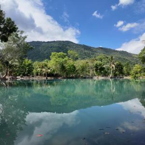 Příroda nedaleko bed and breakfast + 37 fotografií