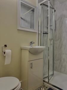 ein Badezimmer mit Waschbecken, Dusche und Toilette in der Unterkunft Mallview Coach House in Armagh