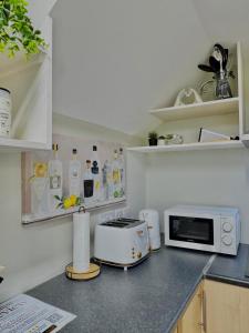 eine Küche mit einem Toaster und einer Mikrowelle auf der Theke in der Unterkunft Mallview Coach House in Armagh