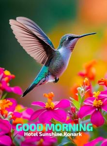 Fotografie z fotogalerie ubytování Hotel Sunshine v destinaci Konárka