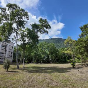Příroda nedaleko bed and breakfast