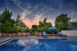 Bazén v ubytování Ranthambore Nature Camp Resort nebo v jeho okolí