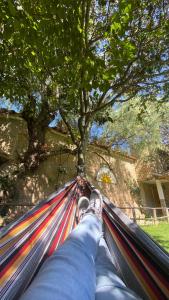 a person laying in a hammock under a tree at Qushi Shoncu Lodge in Huaylas +17 photos