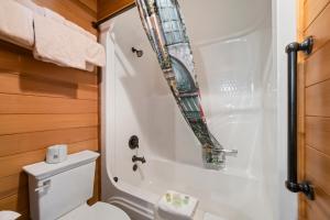 Un pequeño baño con inodoro y ducha. en Historic Iron Horse Inn - Deadwood, en Deadwood 25 fotos más