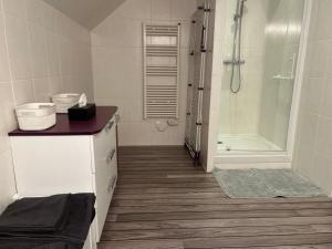 a bathroom with a shower and a sink and a toilet at Chez Mamie in Hautot-sur-Mer +11 photos