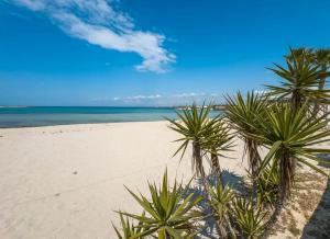 Příroda nedaleko prázdninového domu + 17 fotografií