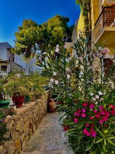 Zahrada ubytování Artemis Rooms + 28 fotografií