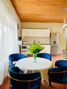 a dining room with a table and blue chairs at Genesis Guesthouze in Bela-Bela