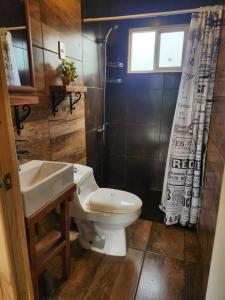 Un baño con inodoro, lavabo y ventana. en La Rinconada Quillon, en Quillón