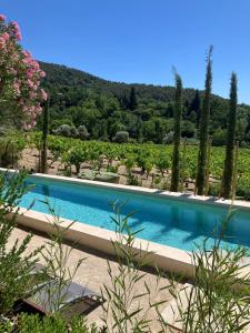 une piscine avec vue sur un vignoble dans l'établissement Chambres & Table d'Hôtes Au Soleil du Bonheur, à Lafare