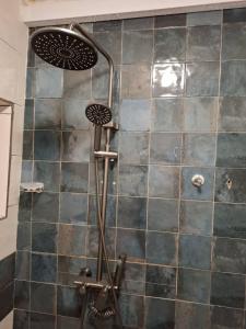 a shower in a bathroom with a tiled wall at Samba's Beach Strip Apartments in Kololi