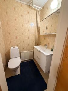 a small bathroom with a toilet and a sink at Holiday home on the edge of the woods in Kemijärvi +16 photos