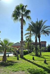 Κήπος έξω από το Riad Mhidou Marrakech