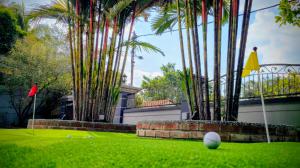 a golf ball on a green with palm trees at Gasing WheelHouse in Petaling Jaya