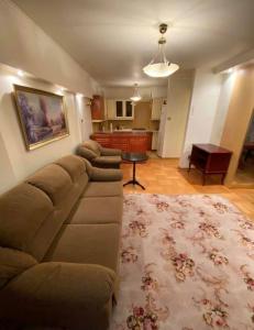 SkorkaにあるLodgia Apartmentsのソファとテーブルのあるリビングルーム