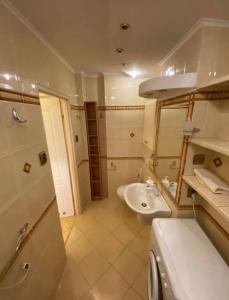 SkorkaにあるLodgia Apartmentsの洗面台とトイレ付きのバスルーム