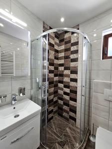 a bathroom with a shower and a sink at Vila Vujic Tara in Kaludjerske Bare