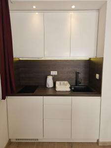 a kitchen with white cabinets and a sink at Vila Vujic Tara in Kaludjerske Bare +52 photos