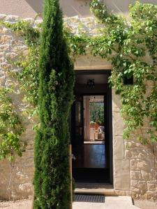 un grand arbre vert devant une porte dans l'établissement Chambres & Table d'Hôtes Au Soleil du Bonheur, à Lafare