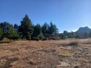 Příroda nedaleko prázdninového domu + 5 fotografií