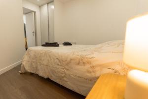 圣布里厄Yassam- Le 103- Appartement - Gare- wifi的卧室里有一张床，床上有一条毯子